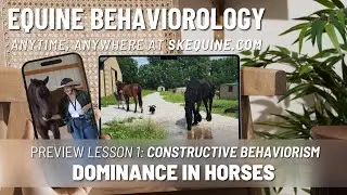 Dominance in Horses