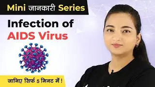 HIV and AIDS Explained in a Simple Way in Hindi | HIV Mechanism of Action |  Mini Jankaari Series