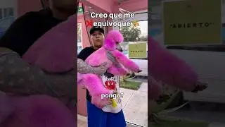 Creo que el dueño se va enojar #perros #mascotas #errores #comedia #humor