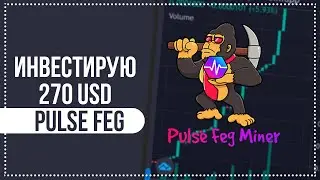 🚀Инвестирую 270 USD в Pulse Feg⚡️ Доход 3% в день 💰