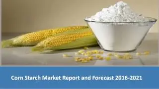 Corn Starch Market Report - Trends & Forecasts 2017 to 2022
