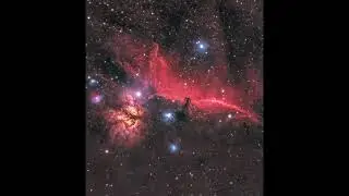 Horsehead Nebula 13 Hours Through My Telescope 1 29 2025