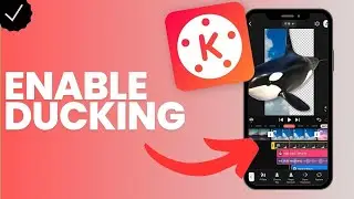 How to enable ducking for a sound layer in Kinemaster?