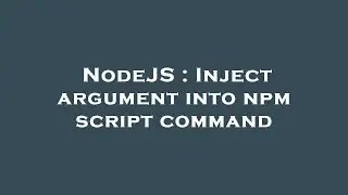 NodeJS : Inject argument into npm script command