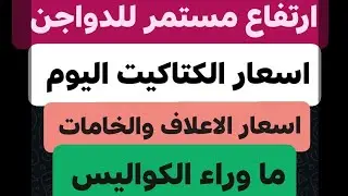 ارتفاع متواصل للدواجن أما الكتاكيت والاعلاف والبيض والخامات اليوم الاثنين 2/2/2026