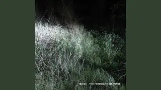 Lost Broadcast