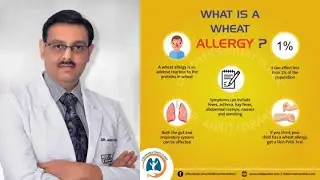 Wheat Allergy: Symptoms, Diagnosis & Management I Dr Ankit Parakh, Allergy Specialist