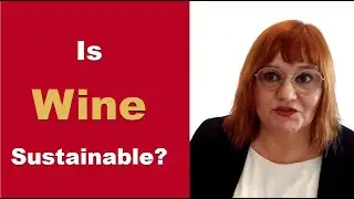 Is Wine Sustainable? 🍷 | 8 Keys to Sustainable Wine for Wine Lovers