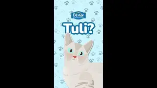 Kucing Tuli?