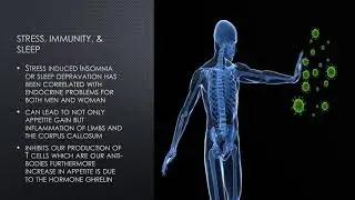 Coffee Break Stress Science: STRESS AND THE IMMUNE SYSTEM