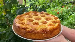Cheese cheesecake with apricots (apricot pie on cheesecake dough).