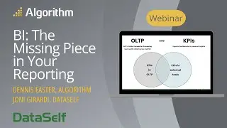 Business Intelligence: The Missing Piece in Your Reporting Strategy | Algorithm and DataSelf
