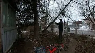❌ УДАЛЕНИЕ АВАРИЙНОГО ДЕРЕВА С ПРОВОДОВ #арбористика #treesurgeon #арбористы
