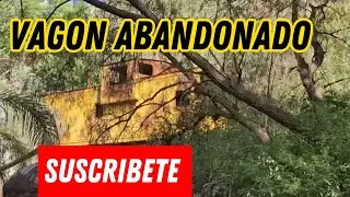 VAG&Oacute;N DE TREN ABANDONADO EN MEDIO DE LA NADA, SONIDOS ESPELUZNANTES