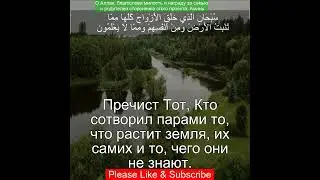 Коран Сура Ясин | 36:36 | Чтение Корана с русским переводом | Quran Translation in Russian
