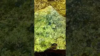 See stone shining ✨ #experiment #preciousstone #naturerocks #gemstone