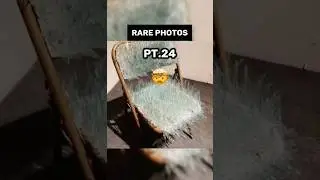 INCREDIBLE rare photos #rare #shorts #epic #history y