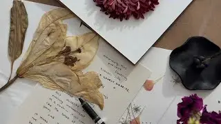 coming back to self | press flowers with me! + poetry, emotional safety & feeling deeply