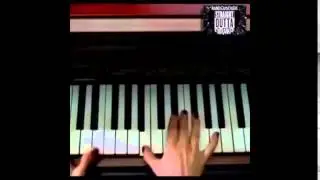 cockatoo plays the piano