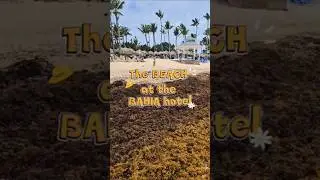 B&aacute;varo Strand in der Dominikanischen Republik im Juni 2025 #bavarobeach #bahiaprincipe #puntacana