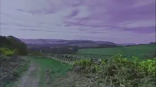 Bass Minotaur - Paddocks of Farmland