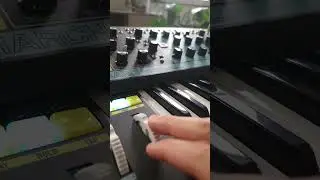 another rich theme, love the tone! #analogsynth #moog #moogmatriarch