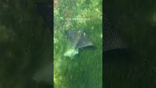 Florida&rsquo;s Best Kept Secret: The 