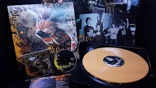 Evergreen Terrace 