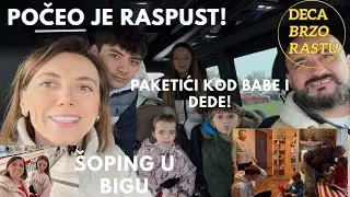 POČEO JE RASPUST || PAKETIĆI || ŠOPING U BIGU || Deca Brzo Rastu 