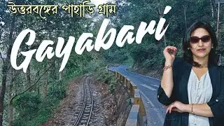 দার্জিলিং যাওয়ার পথে এই লুকানো জায়গাটি দেখেছেন? 🏔️ Gayabari Kurseong: The Ultimate Offbeat Paradise!