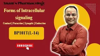 Contact dependent | Paracrine signaling | Synaptic signaling | Endocrine Signaling 