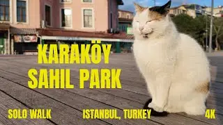 İBB Karak&ouml;y Sahil Parkı. Istanbul 2025, 4K HDR 60fps - Turkey - Walking Tour