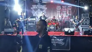 10 Miracle Like Jessie live in 