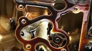 Audi S4 V8 Timing Chain Problem and Repair