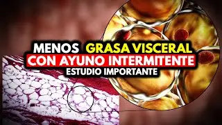 ✍️💥Asi puedes Reducir *GRASA ABDOMINAL* con AYUNO INTERMITENTE según este ESTUDIO