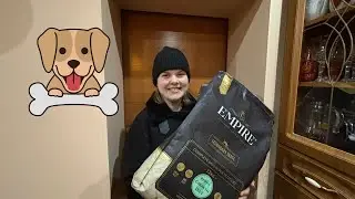 VLOG: POMAGANIE JEST WSPANIAŁE! 🐶❤️