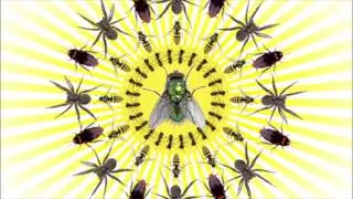 Rose Pest Solutions  Summer Pests