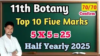 🔥11th Botany Top 10 Five Marks|Half Yearly 2025| 70/70 Confirm