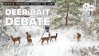 Deer bait debate: Tennessee hunters divided over new baiting permit regulations