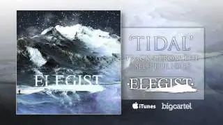 Elegist - 'Tidal'