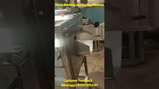 Automation Essential! Washing Large Quantities of Fruits and Vegetables Efficiently with the Washer