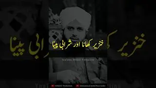 Eating fish or drinking alcohol is forbidden in Islam - Muhammad Ajmal Raza Qadri - #Shorts
