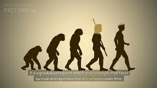 The Epic Story of Life