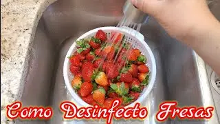 Como Desinfecto mis Fresas 🍓🍓🍓