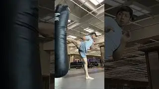 Kicks and tricks - HwarangSam - July 2024 - #martialarts #taekwondo #karate #kickboxing #mma