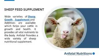Animal Feed Supplement