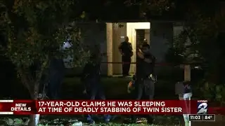 Twin claims he was sleeping when he stabbed 17-year-old sister, prosecutors say