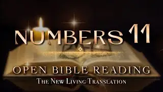 Openbiblereading &ndash; Numbers Chapter 11 (The Reading) NLT