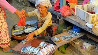 Traditional Market Atmosphere in Indonesia - Rural Life Indonesia