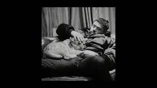 NOIZY - 100 KILE (1950)
